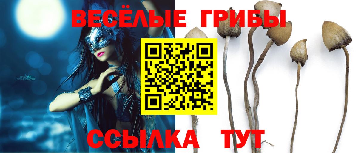 Янаул  Галлюциногенные грибы MAGIC MUSHROOMS  как найти   Вход с VPN 